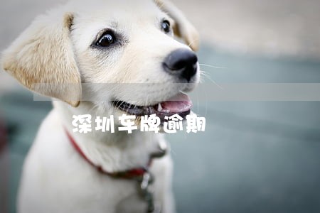 深圳车牌逾期 深圳车牌逾期