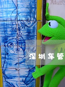 深圳车管所办理车辆年审逾期 深圳车管所办理车辆年审逾期