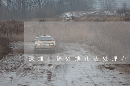 深圳车辆外地违法处理办法 深圳车辆外地违法处理办法