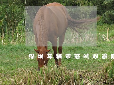 深圳车辆审验时间逾期 深圳车辆审验时间逾期