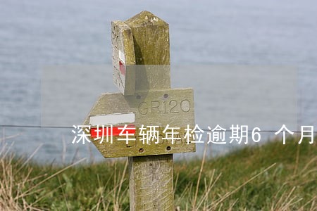 深圳车辆年检逾期6个月在线处理 深圳车辆年检逾期6个月在线处理