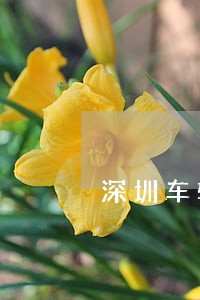深圳车辆环保逾期未检 深圳车辆环保逾期未检