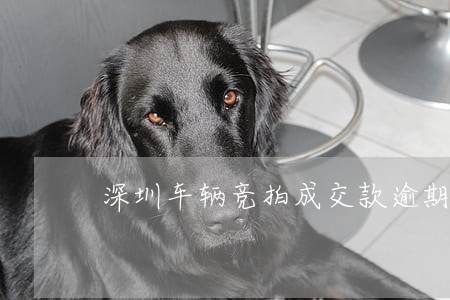 深圳车辆竞拍成交款逾期怎么办 深圳车辆竞拍成交款逾期怎么办