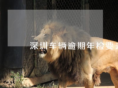 深圳车辆逾期年检要去哪里激活 深圳车辆逾期年检要去哪里激活