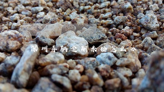 深圳车辆逾期未检怎么办 深圳车辆逾期未检怎么办