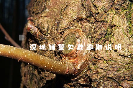 深圳辅警欠款逾期说明 深圳辅警欠款逾期说明