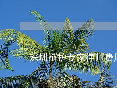 深圳辩护专家律师费用 深圳辩护专家律师费用