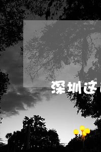 深圳这边普通盗窃罪请律师多少钱