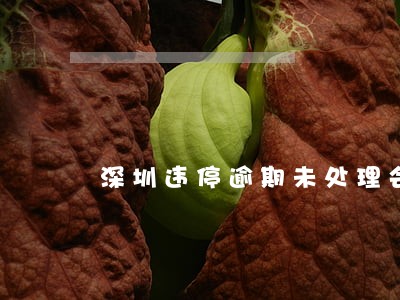 深圳违停逾期未处理会怎么样 深圳违停逾期未处理会怎么样