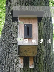 深圳违法停车时间短免罚 深圳违法停车时间短免罚
