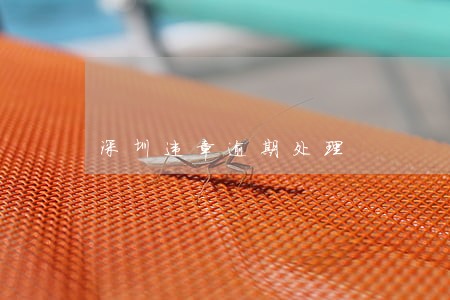 深圳违章逾期处理 深圳违章逾期处理