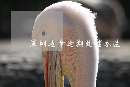 深圳违章逾期处理办法 深圳违章逾期处理办法