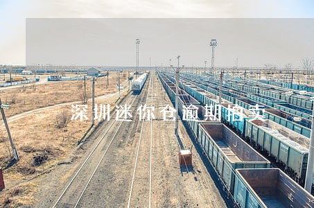 深圳迷你仓逾期拍卖 深圳迷你仓逾期拍卖