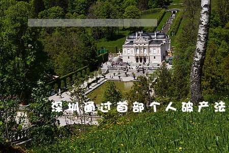 深圳通过首部个人破产法规 深圳通过首部个人破产法规
