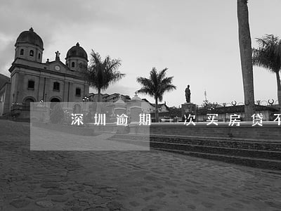深圳逾期一次买房贷不了款