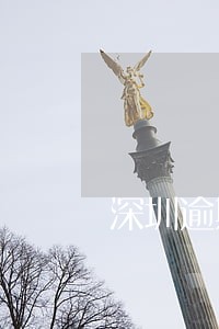 深圳逾期年审 深圳逾期年审