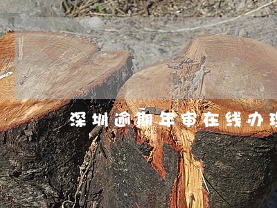 深圳逾期年审在线办理 深圳逾期年审在线办理