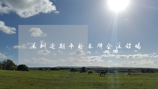 深圳逾期年检车牌会注销吗