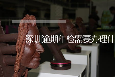 深圳逾期年检需要办理什么 深圳逾期年检需要办理什么