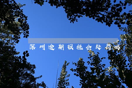 深圳逾期报税会处罚吗 深圳逾期报税会处罚吗