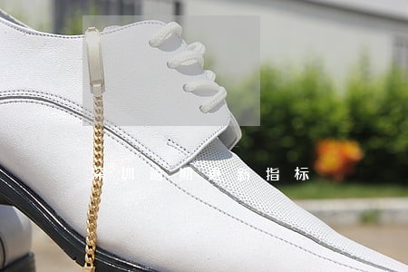 深圳逾期更新指标