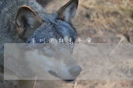 深圳逾期未年审 深圳逾期未年审