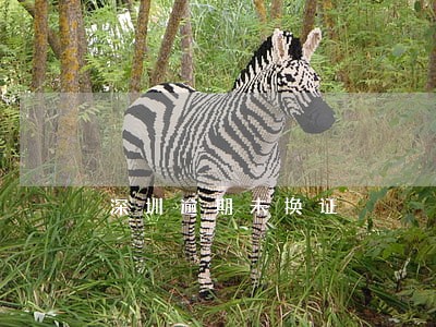 深圳逾期未换证 深圳逾期未换证