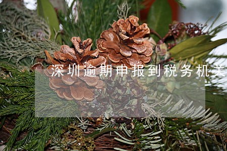 深圳逾期申报到税务机关处罚 深圳逾期申报到税务机关处罚