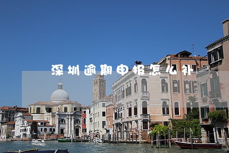 深圳逾期申报怎么补 深圳逾期申报怎么补