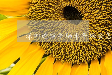 深圳逾期车辆未年检会怎么处罚 深圳逾期车辆未年检会怎么处罚