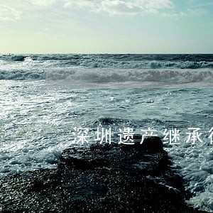 深圳遗产继承律师所 深圳遗产继承律师所