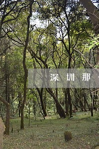 深圳那个电台有法律咨询 深圳那个电台有法律咨询