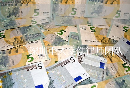 深圳重大案件律师团队