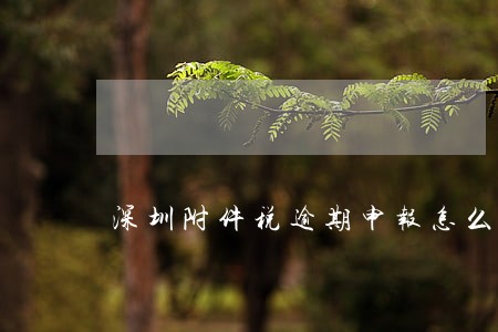 深圳附件税逾期申报怎么处理 深圳附件税逾期申报怎么处理