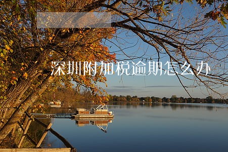深圳附加税逾期怎么办