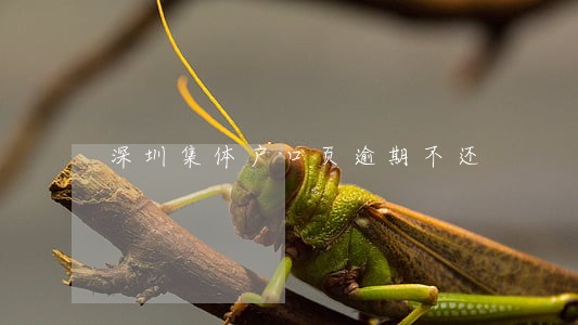深圳集体户口页逾期不还 深圳集体户口页逾期不还