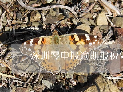 深圳零申报逾期报税处罚 深圳零申报逾期报税处罚