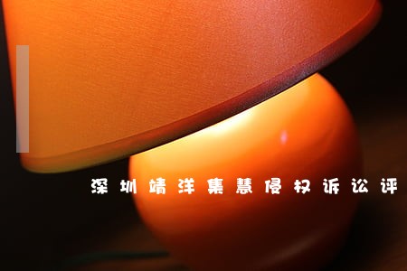 深圳靖洋集慧侵权诉讼评估专业吗 深圳靖洋集慧侵权诉讼评估专业吗