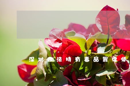 深圳非法持有毒品罪律师