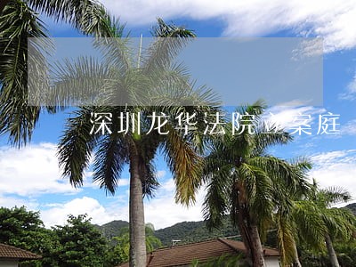 深圳龙华法院立案庭