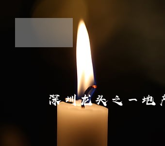 深圳龙头之一地产债务逾期 深圳龙头之一地产债务逾期