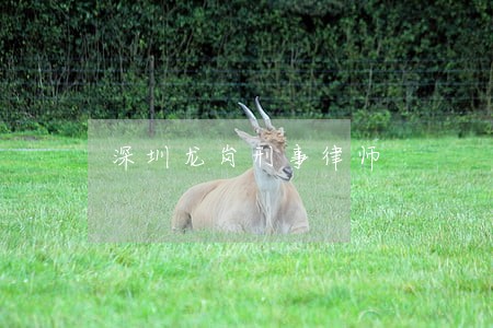 深圳龙岗刑事律师 深圳龙岗刑事律师