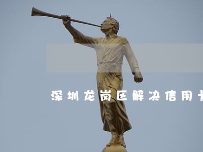 深圳龙岗区解决信用卡逾期的公司