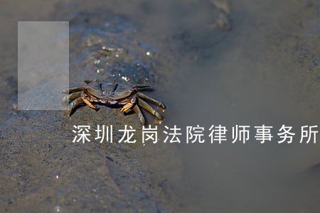 深圳龙岗法院律师事务所 深圳龙岗法院律师事务所