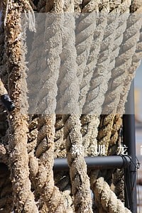 深圳龙岗调查什么 深圳龙岗调查什么
