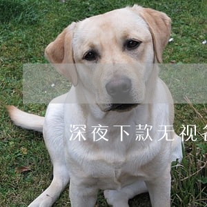 深夜下款无视各种逾期的口子 深夜下款无视各种逾期的口子