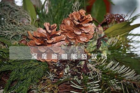 深度逾期能贷款吗 深度逾期能贷款吗