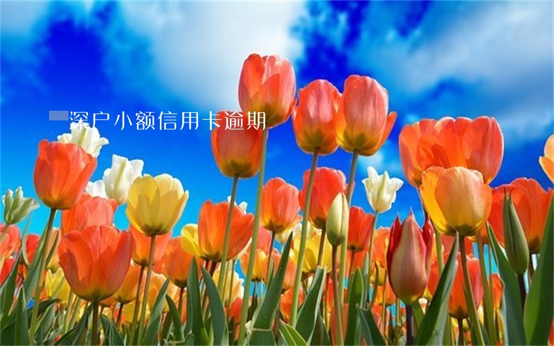 深户小额信用卡逾期 深户小额信用卡逾期