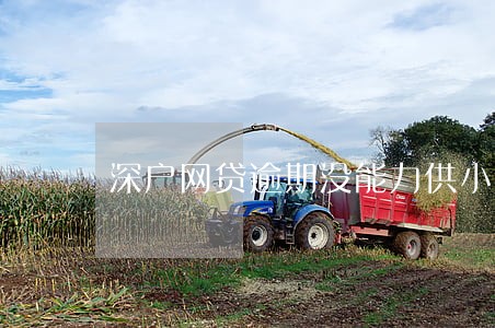 深户网贷逾期没能力供小孩读书 深户网贷逾期没能力供小孩读书