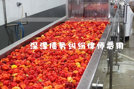 深泽债务纠纷律师费用 深泽债务纠纷律师费用